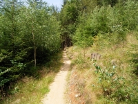 Trail so sieht der gebaute Trail aus