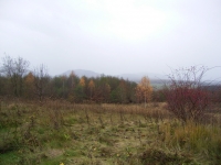 Blick ins Gebirgs Vorland na ja ist etwas tr&uuml;b aber es regnete nun gerade mal