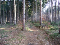 Trail