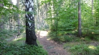 Trail neben den Bahnschienen