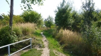 Trail am OSee