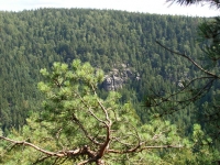 Blick vom Ameisenberg