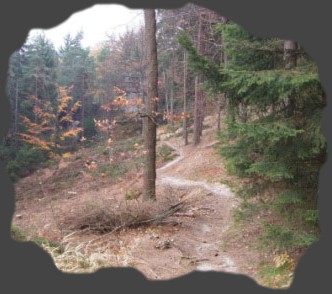 Trail