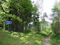 Wegkreutzung hier geht es rechts den Trail hinunter an Gro&#223;mutters Ruh geht es erst links die Stra&#223;e entlang und dann vor dem Schild rechts hinunter (sehr steil)