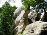 Elefantenstein von nahen sehen Sie halt etwas anders aus