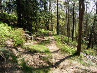 Trail