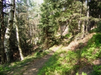 Trail