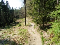 Trail