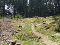 Trail