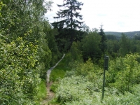 Cotta Weg am Hochmoor entlang deshalb der Holzweg