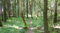 Trail am Bach entlang