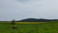 hier schon der Turm zu sehen