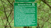 Schwarzer Bruch