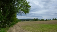 dunkle Wolken ziehen auf