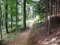 Trail so sieht der gebaute Trail aus