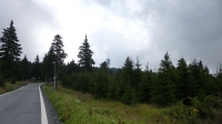 die letzten Meter gehen wieder auf der Stra&#223;e entlang