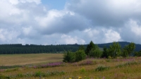 Blick hin&#252;ber zur Sachsenbaude