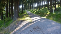 von oben den Kaffenbergweg runter