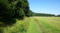 Wiesen Trail