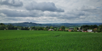 Landschaft