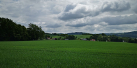 Landschaft