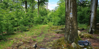 Wanderweg