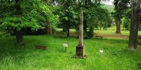 Obelisk