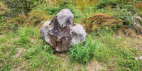 Duellstein 1