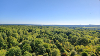 Blick vom Haselbergturm