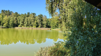 Blick vom kleinen Turm am See