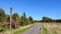 Vogelhausbaum