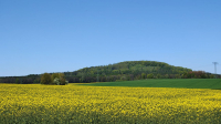 Sonnenh&uuml;bel vorraus