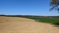 Landschaft