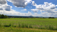 Landschaft