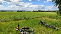 Landschaft