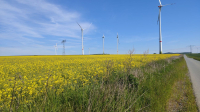 Landschaftsverschandelung