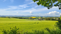 Landschaft
