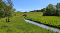 Staudamm Petersbach
