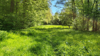 am Petersbach entlang