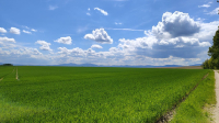 Landschaft