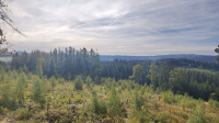 Landschaft