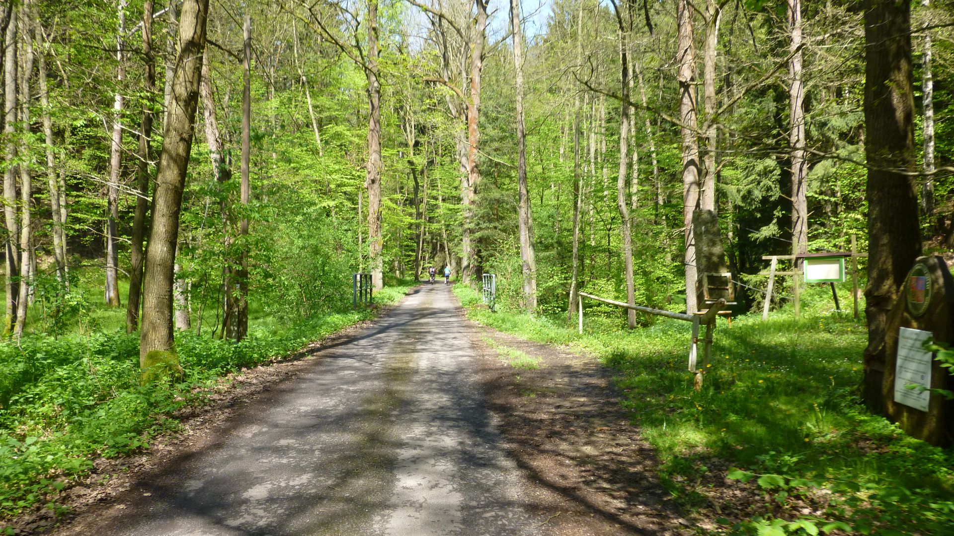 Waldweg