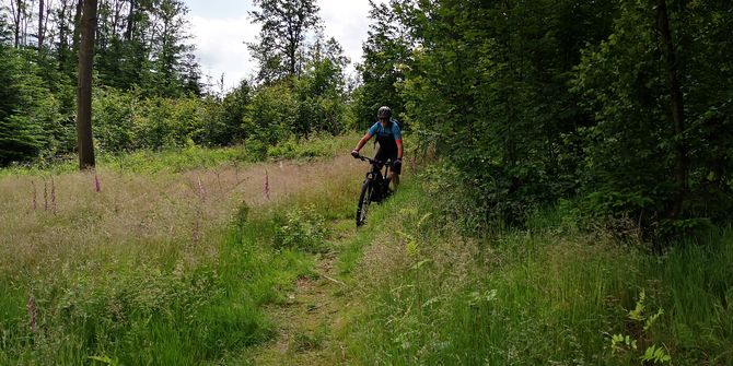 MTB